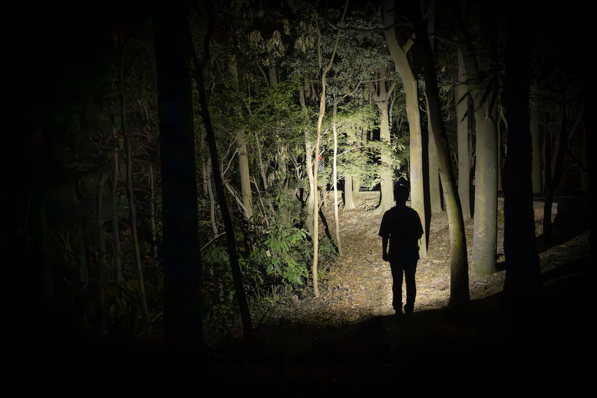 Olight Warrior Ultra illuminating a wooded trail at night