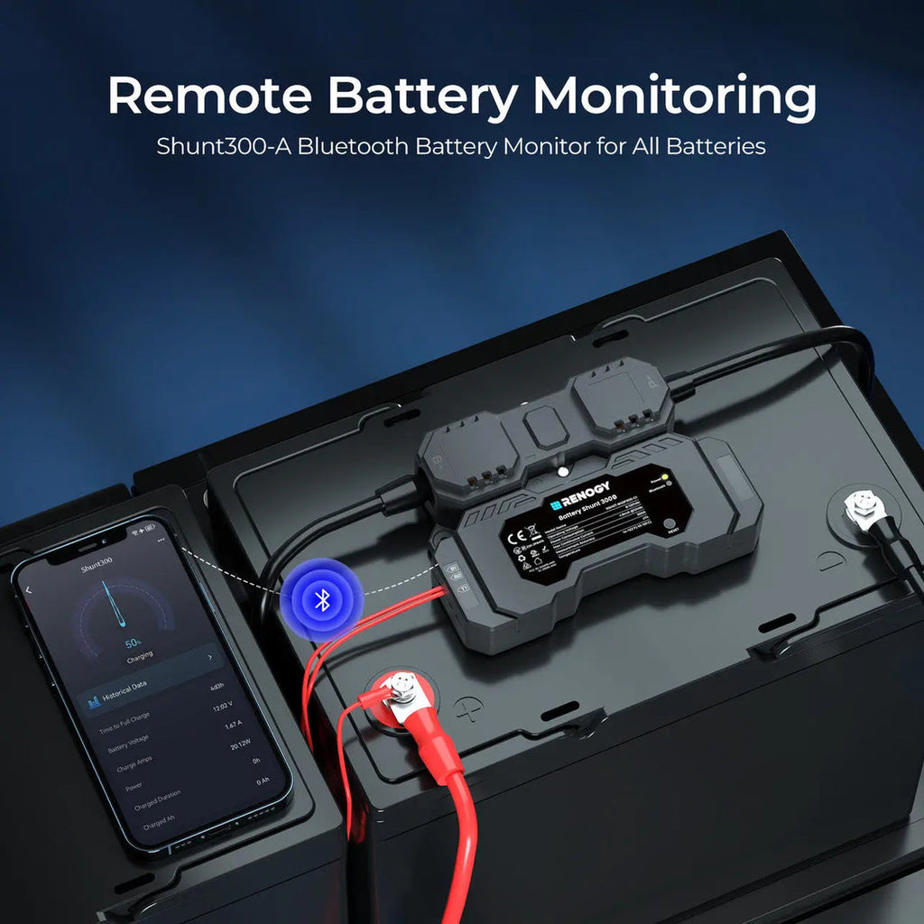 Renogy Battery Shunt 300 RSHST-B02P300-G1 monitoring system view