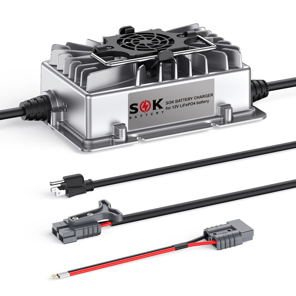 SOK SK12V20A 12V 20A battery charger