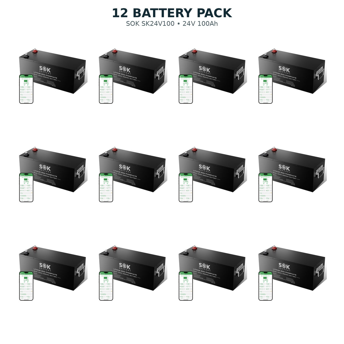12 pack SOK SK24V100 24V 100Ah LiFePO4 batteries