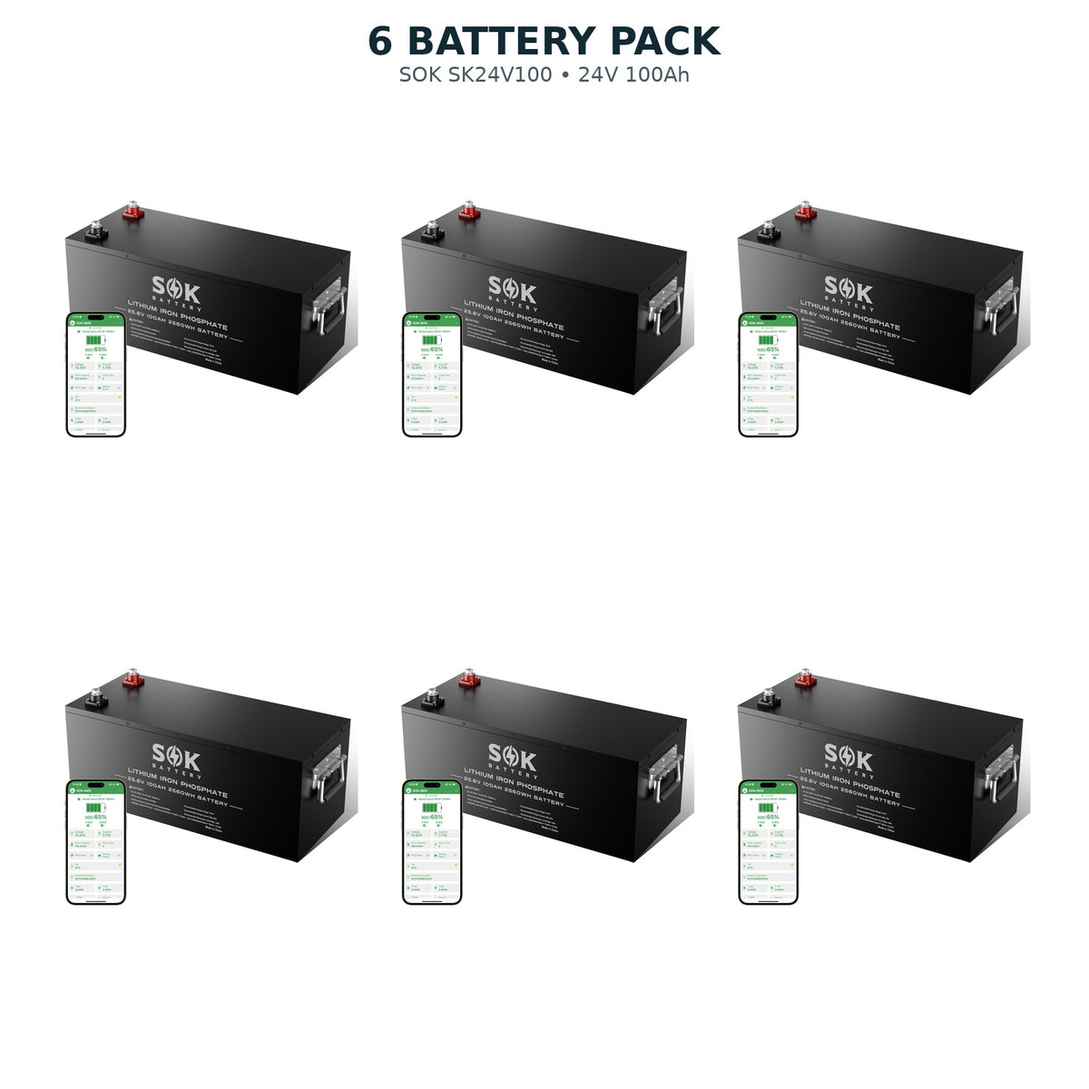 6 pack SOK SK24V100 24V 100Ah LiFePO4 batteries