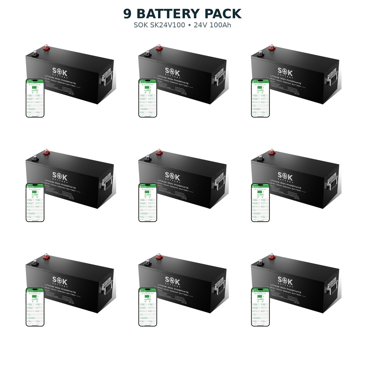 9 pack SOK SK24V100 24V 100Ah LiFePO4 batteries